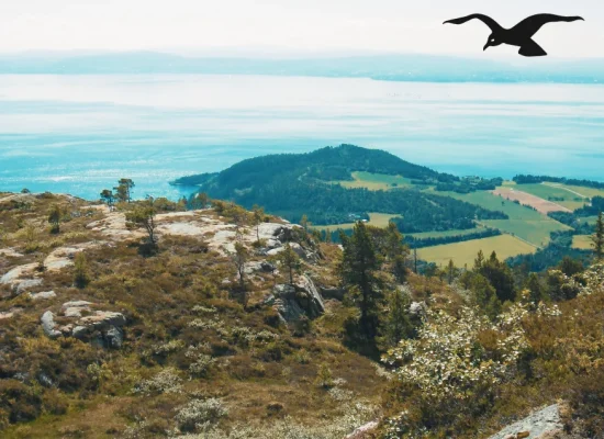 Great nature view at Hindrum Fjordsenter in Norway on sunny day 3