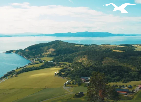 Great nature view at Hindrum Fjordsenter in Norway on sunny day 2