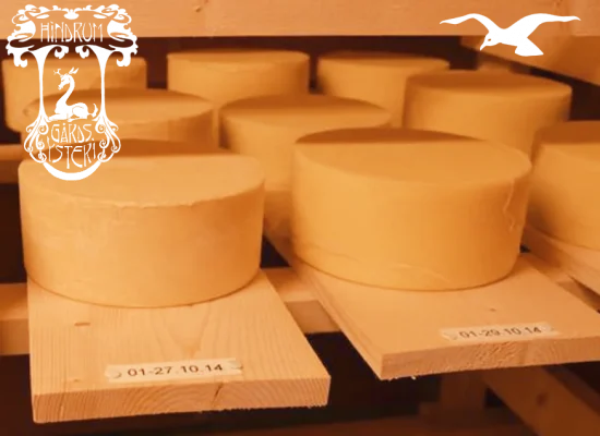 Organic cheese production at Hindrum Fjordsenter in Norway 3