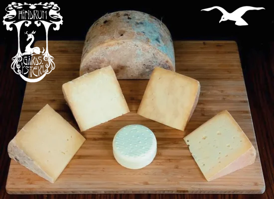 Organic cheese production at Hindrum Fjordsenter in Norway 2