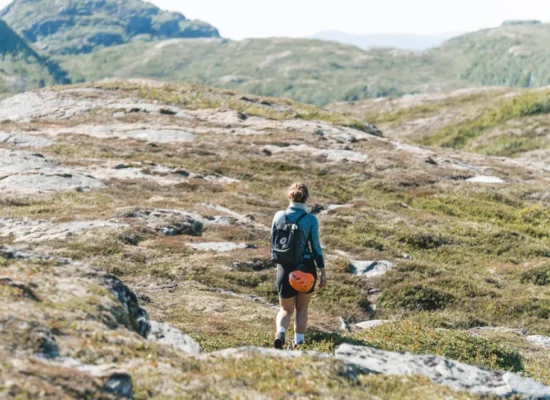 Mevass setra en smaks opplevelse til fjells 5