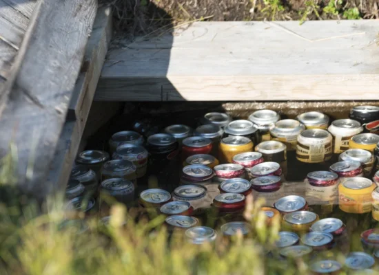 Mevass setra en smaks opplevelse til fjells 1