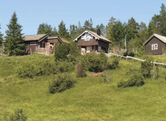 Mevass setra en smaks opplevelse til fjells 7