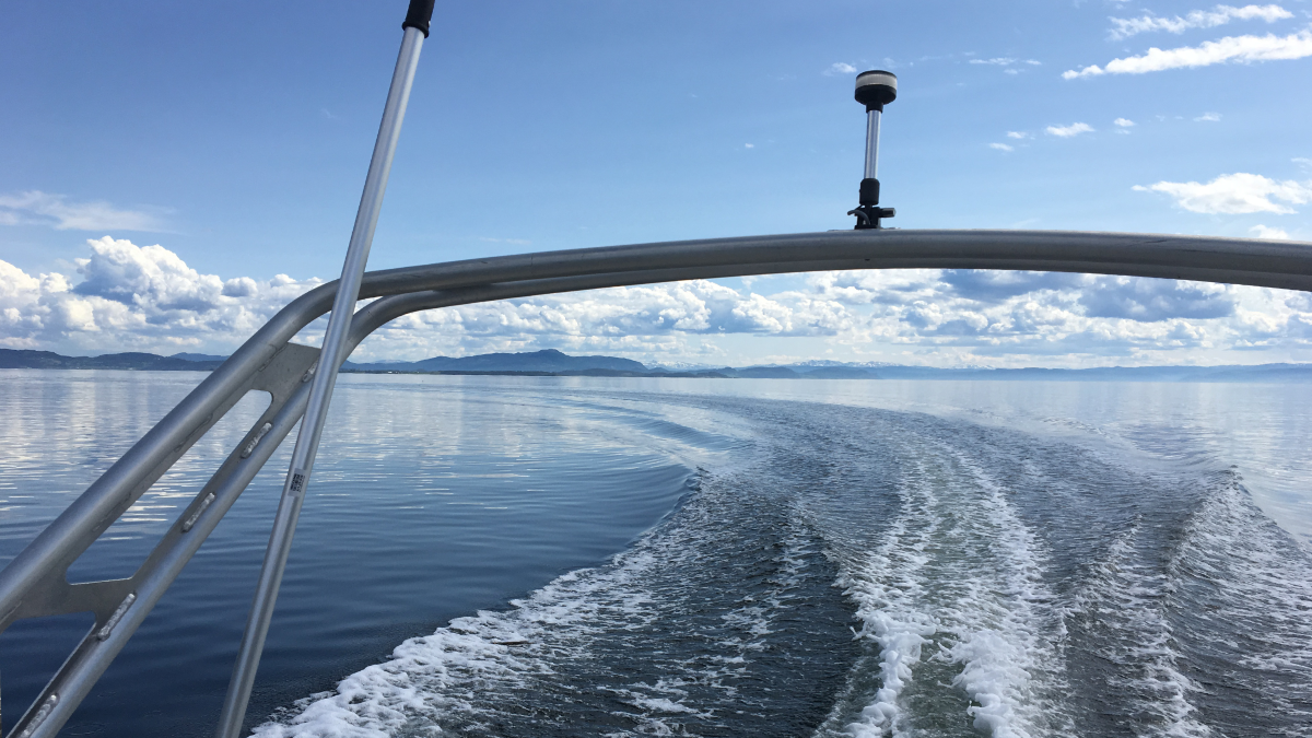 Kvernø og Gemi 20 fot aluminiumsbåter i Trondheimsfjorden