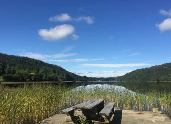 Ferskvann-fiske-carousell-img-1-2026.webp