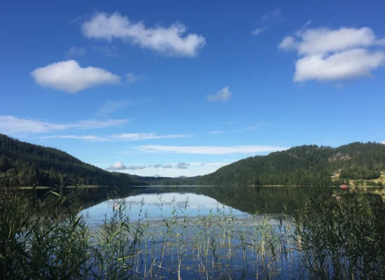 Ferskvann-fiske-carousell-img-2-2026.webp