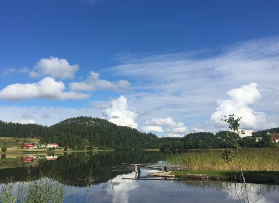 Ferskvann-fiske-carousell-img-3-2026.webp