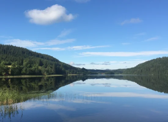 Ferskvann-fiske-carousell-img-5-2026.webp