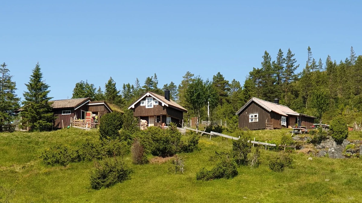 Mevassætra i fjellandskapet ved Hindrum