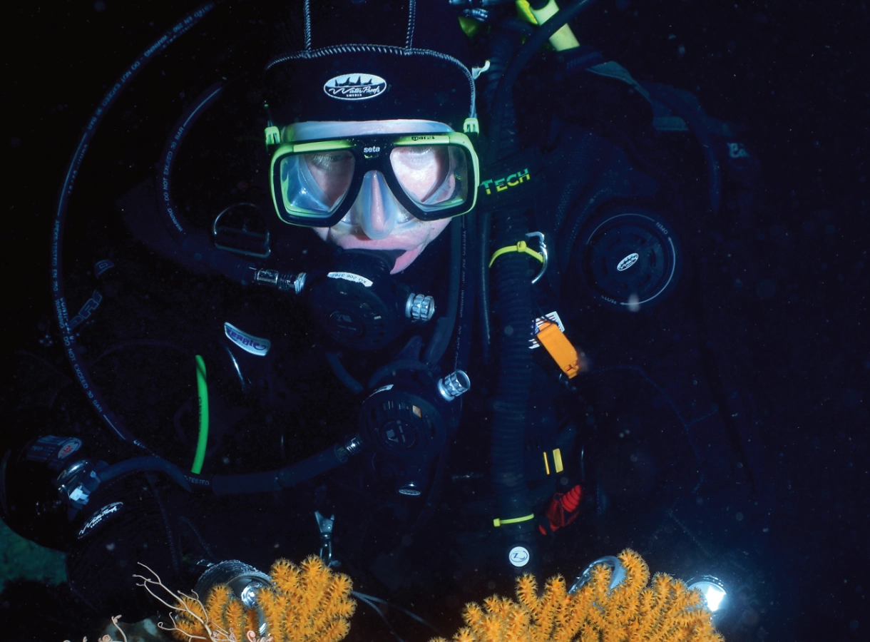 Nurkowanie w Trondheimsfjordzie i lokalna przyroda podwodna