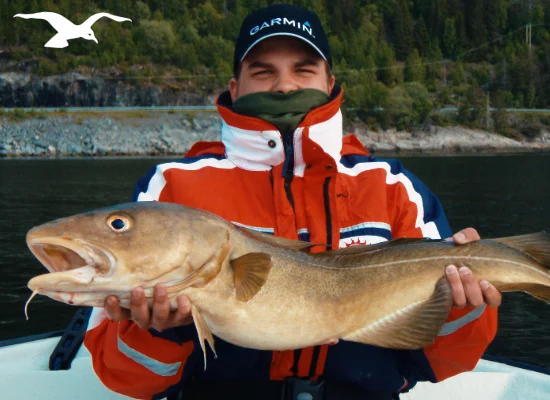Seafishing-mainpage-550x400-1.webp
