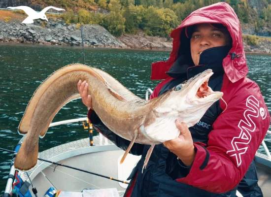 Seafishing-mainpage-550x400-10.webp