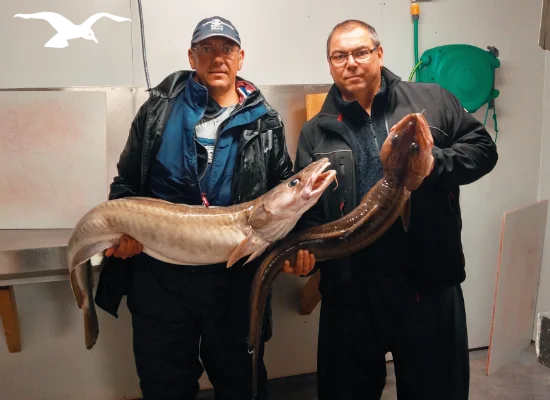 Seafishing-mainpage-550x400-11.webp