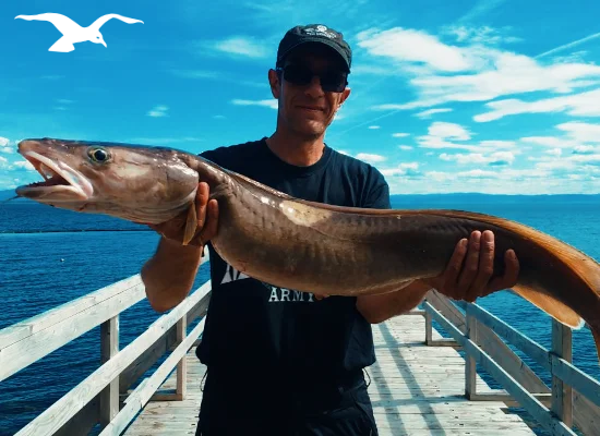 Seafishing-mainpage-550x400-12.webp