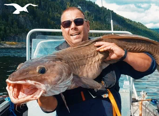 Seafishing-mainpage-550x400-13.webp