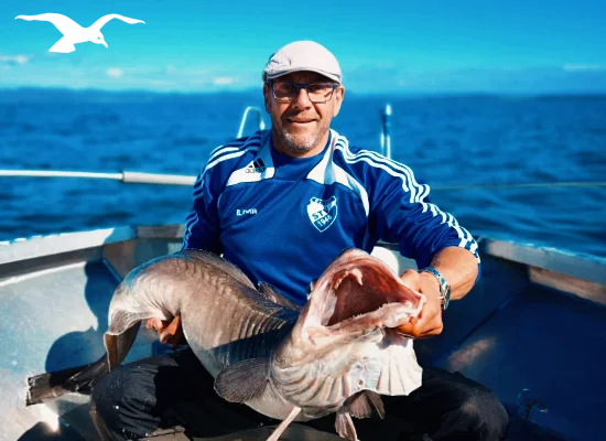 Seafishing-mainpage-550x400-14.webp