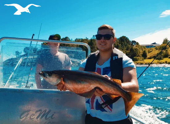 Seafishing-mainpage-550x400-15.webp