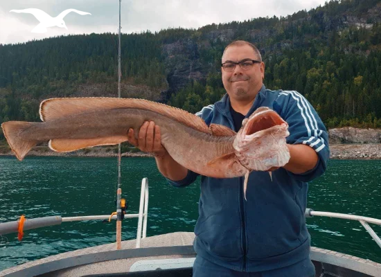 Seafishing-mainpage-550x400-16.webp