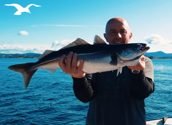 Seafishing-mainpage-550x400-5.webp