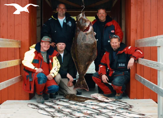Seafishing-mainpage-550x400-8.webp