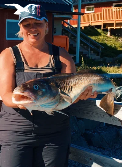 Sea fishing with great catch 5 at Hindrum Fjordsenter in Norway at sunny day