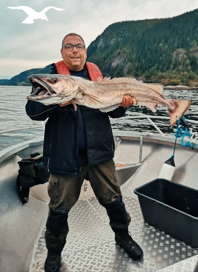 Sea fishing with great catch and fantastic fjord view at Hindrum Fjordsenter in Norway 3