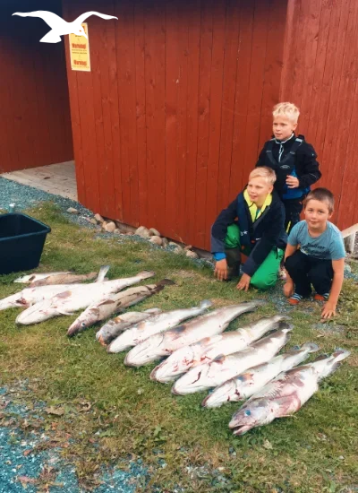 Sea fishing with great catch at Hindrum Fjordsenter in Norway with kids 10